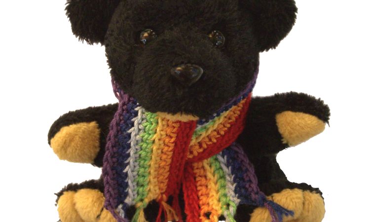 Marciamo per gli orsi della luna!