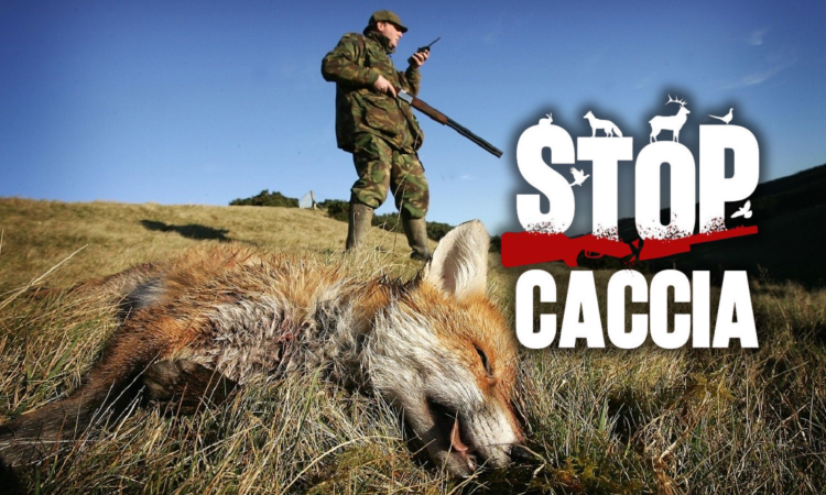 STOP CACCIA! Firma ora!