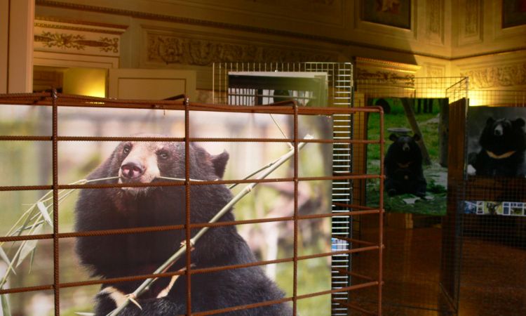 Anche le scolaresche alla mostra contro i lager della bile!