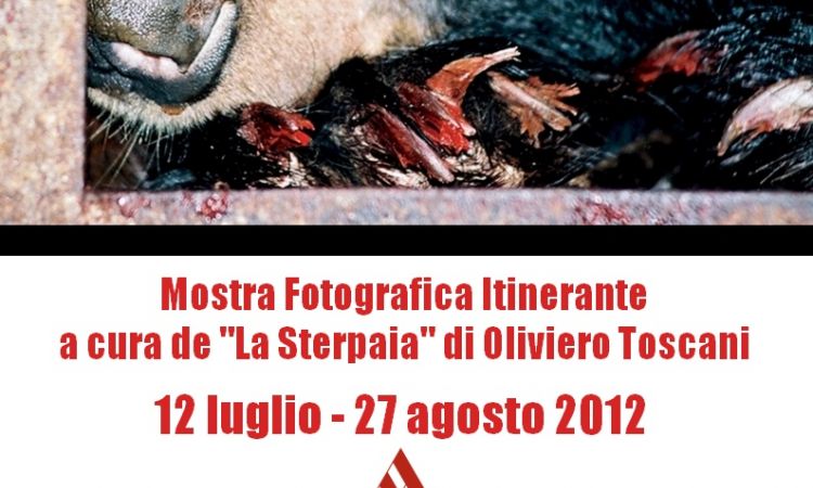 Per tutto agosto gli Orsi della Luna ancora in libreria!