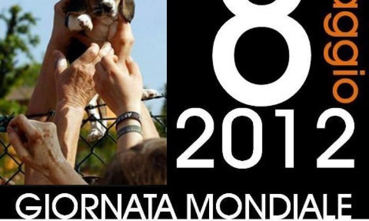 GREEN HILL DEVE CHIUDERE!