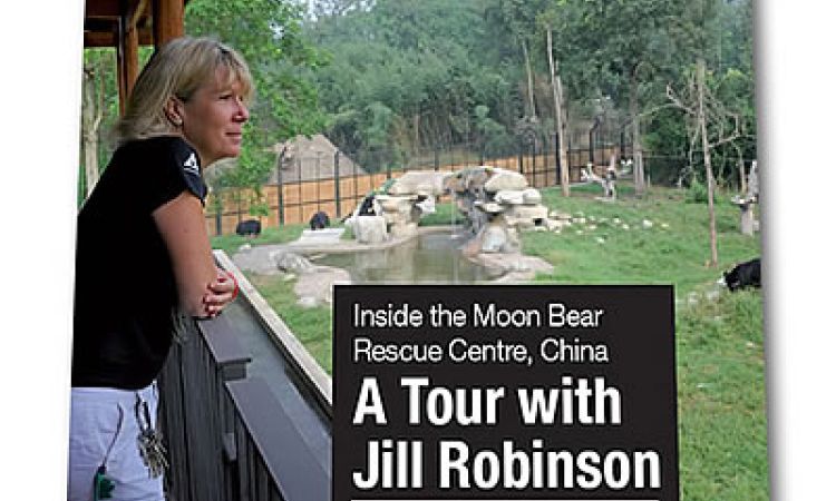 Un tour con Jill Robinson
