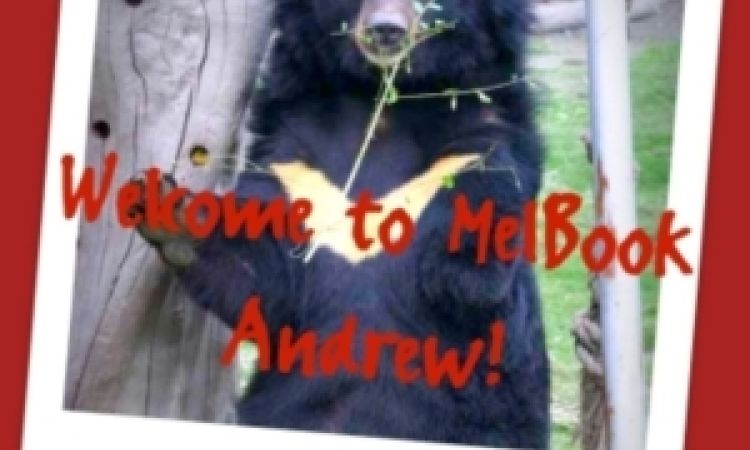 Gli Orsi della Luna sbarcano in libreria