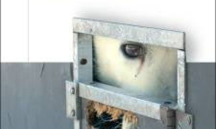 Tom Regan al Festival della Filosofia di Modena