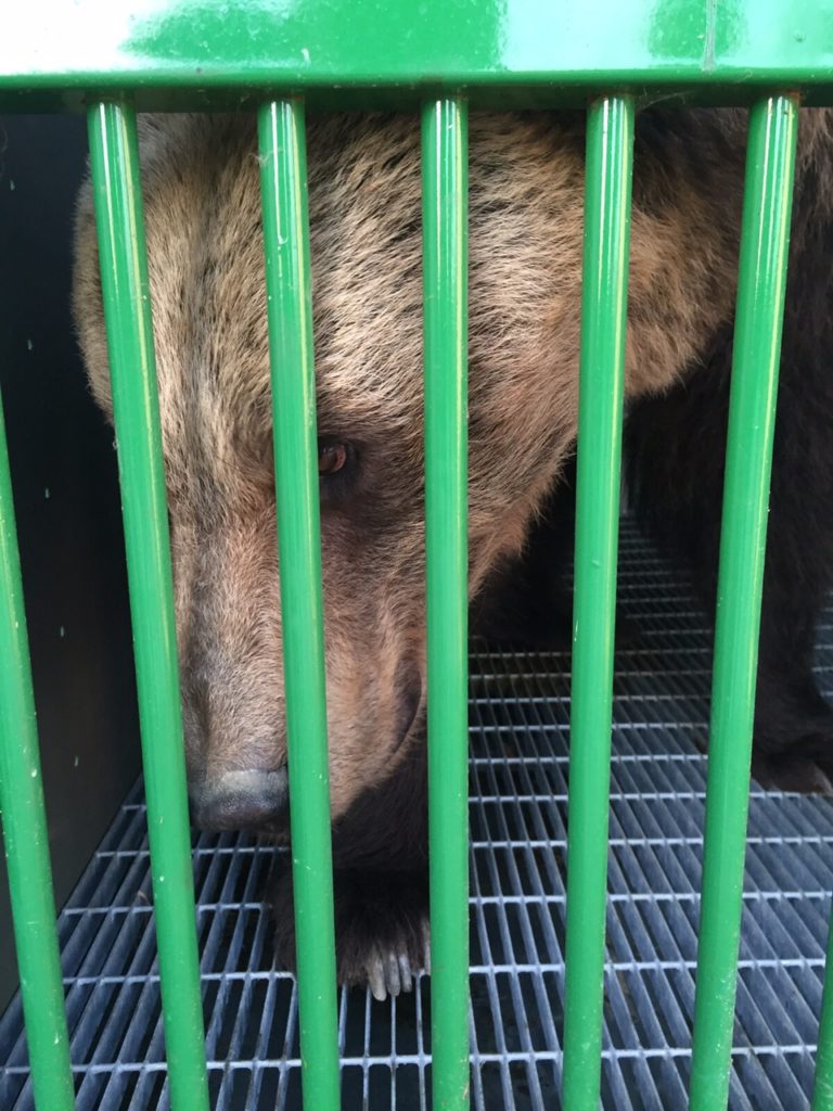 3 81a483ff17cc3904e2b6044083065fc8