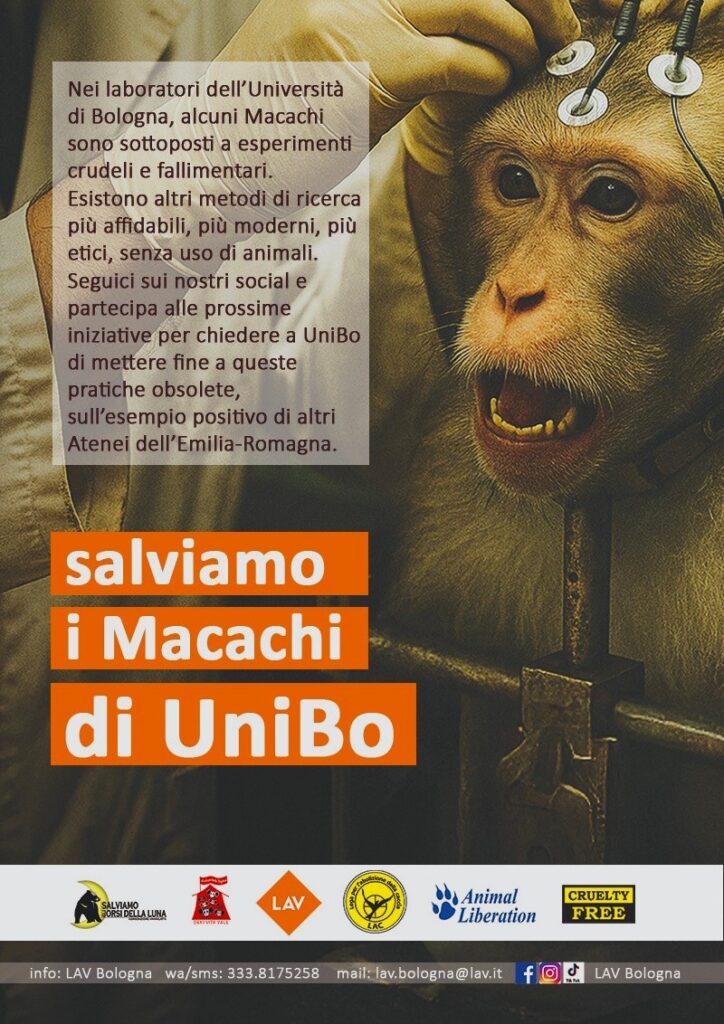 manifesti della campagna animalista per liberare i macachi usati per la vivisezione dall'Università di Bologna